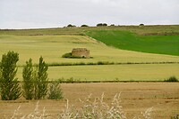 DSC04513