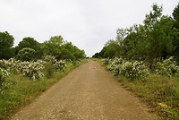 DSC04496