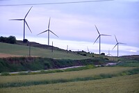 DSC04488