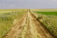 DSC04561