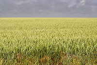 DSC04560