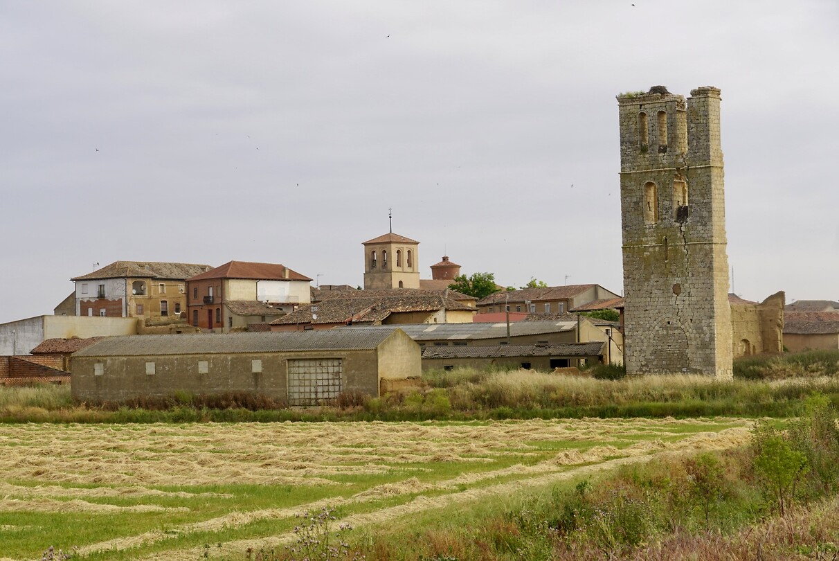 DSC04559
