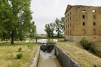 DSC04556