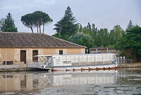 DSC04545