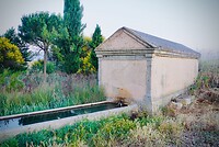 DSC04578