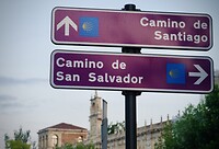 DSC04663