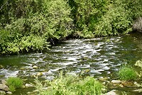 DSC04675