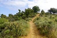 DSC04674