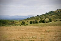 DSC04668