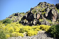 DSC04699