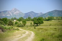 DSC04726