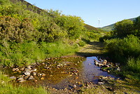 DSC04738