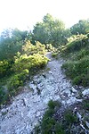DSC04744