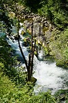 DSC04790