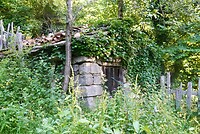 DSC04759