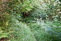 DSC04756