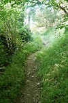 DSC04765