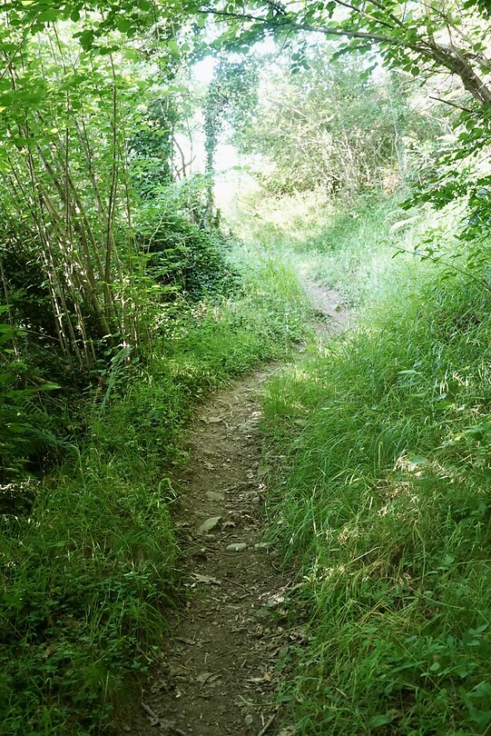 DSC04765
