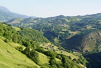 DSC04768