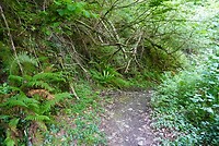 DSC04769