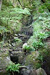 DSC04771