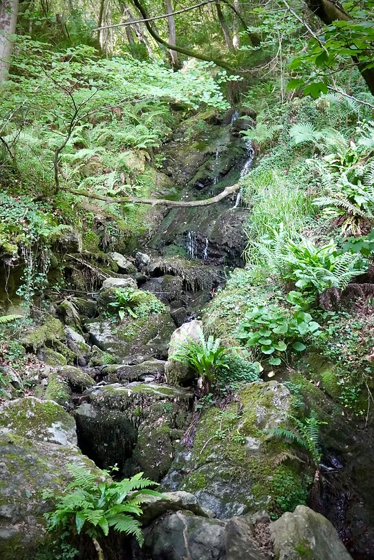 DSC04771