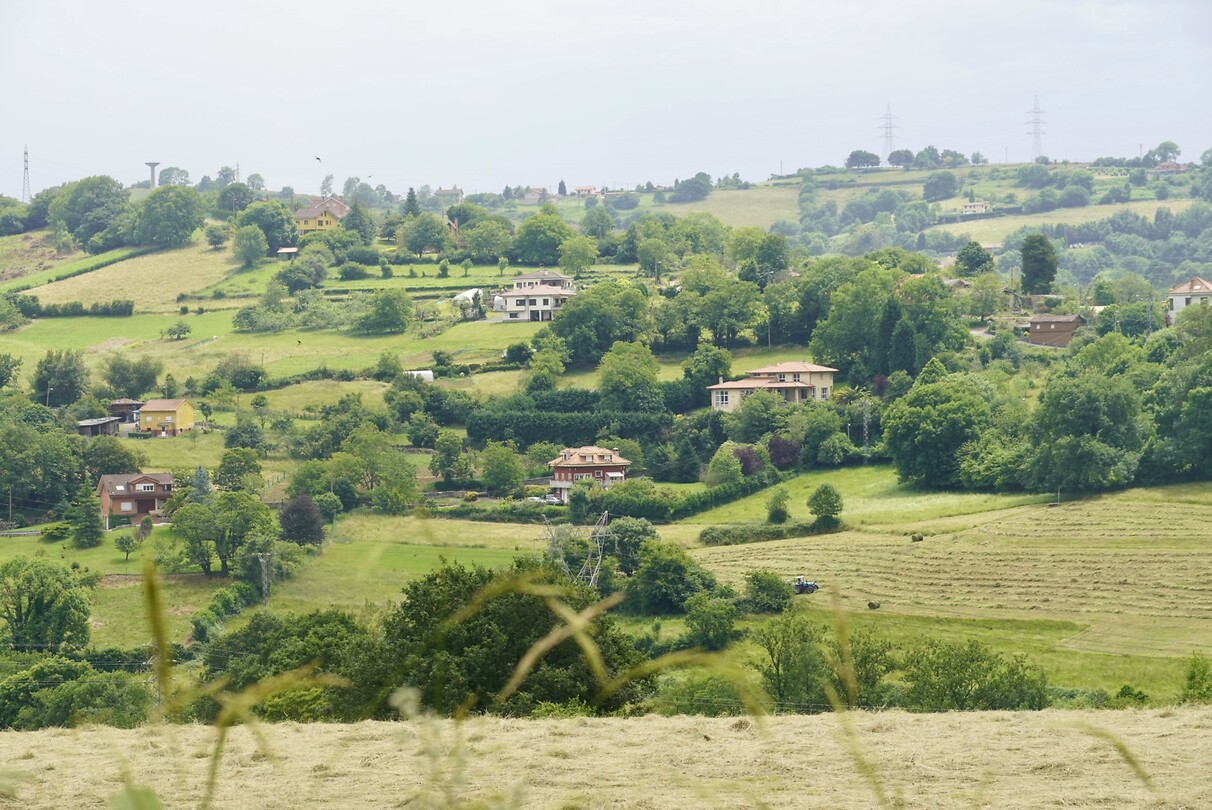 DSC04836