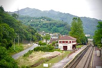 DSC04800