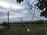 IMG_0945