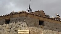 Ooievaars op kerk in Boadilla del Camino