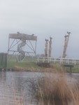 IMG_20190310_133925