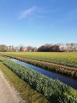 IMG_20190226_095459