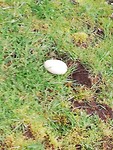 IMG_20190311_090305