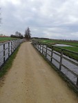 IMG_20190311_085229