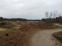 IMG_20190313_101940