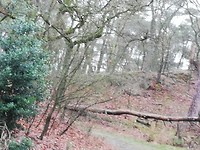 IMG_20190313_101433