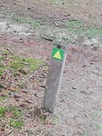 IMG_20190313_101408