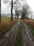 IMG_20190314_092309