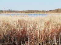 IMG_20190401_123713