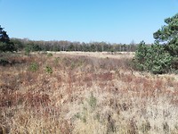 IMG_20190401_121058