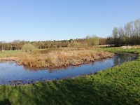 IMG_20190401_093734