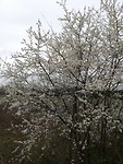 IMG_20190404_140631