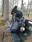 IMG_20190404_090845