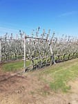 IMG_20190405_111244
