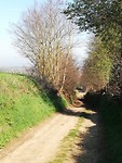 IMG_20190405_095405