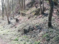 IMG_20190407_132252