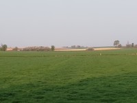 IMG_20190407_084523