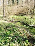 IMG_20190411_133959