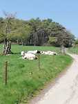 IMG_20190411_125627