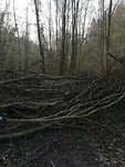 IMG_20190412_090230